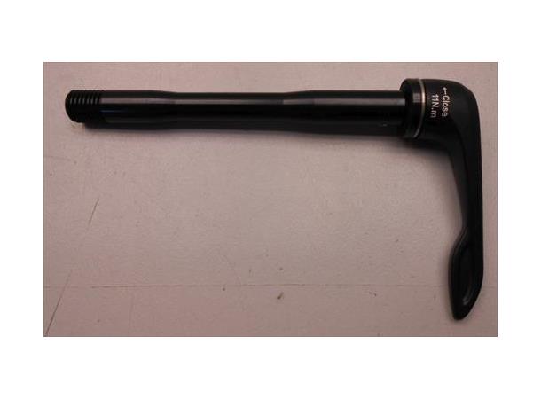 Giant Thru-Axle 12x100 For Forhjul TCX 116.8mm